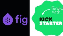 Videogame crowdfunding campaigns